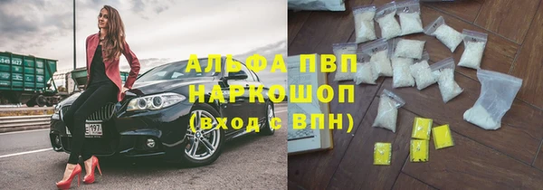 прущие грибы Балахна