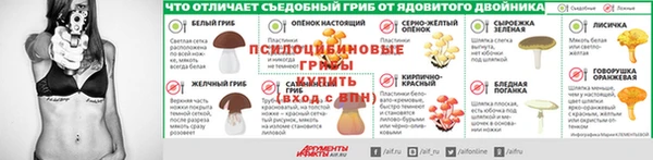 мяу мяу мука Россошь