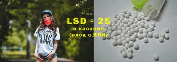 прущие грибы Балахна