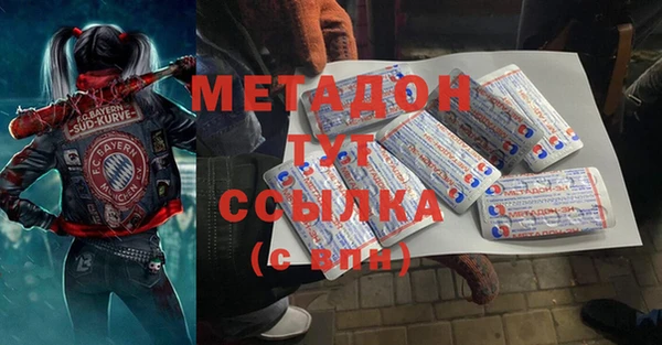 прущие грибы Балахна
