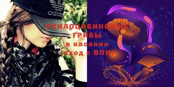прущие грибы Балахна