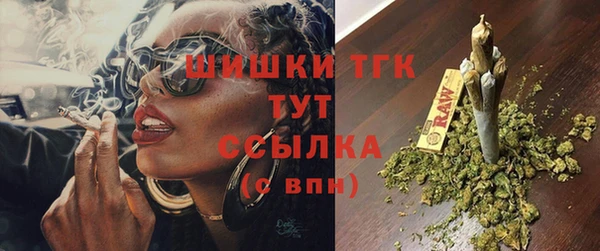 прущие грибы Балахна