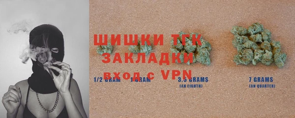прущие грибы Балахна