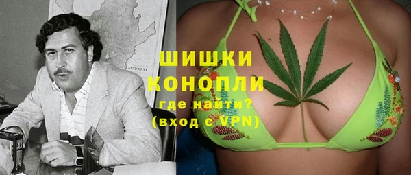 прущие грибы Балахна