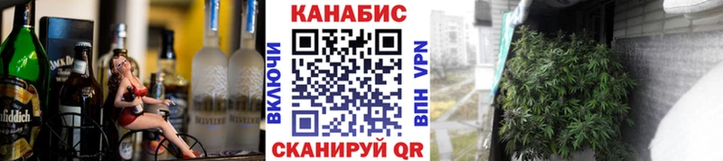 Каннабис OG Kush Тырныауз